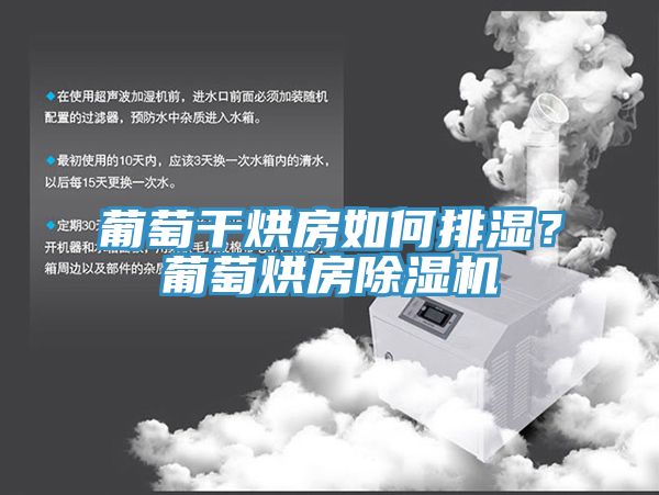 葡萄干烘房如何排濕？葡萄烘房除濕機(jī)