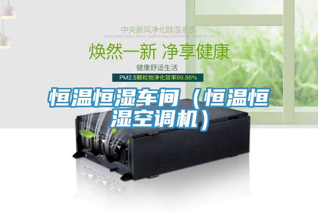 恒溫恒濕車(chē)間（恒溫恒濕空調(diào)機(jī)）