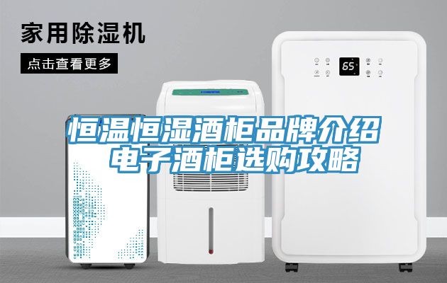 恒溫恒濕酒柜品牌介紹 電子酒柜選購(gòu)攻略