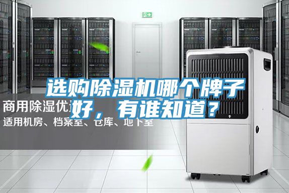選購(gòu)除濕機(jī)哪個(gè)牌子好，有誰(shuí)知道？