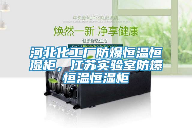 河北化工廠防爆恒溫恒濕柜，江蘇實驗室防爆恒溫恒濕柜
