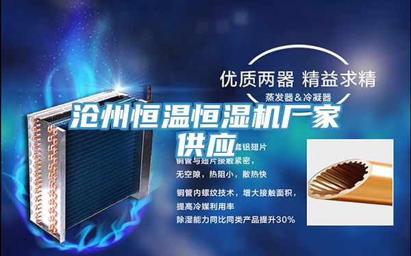 滄州恒溫恒濕機廠家供應