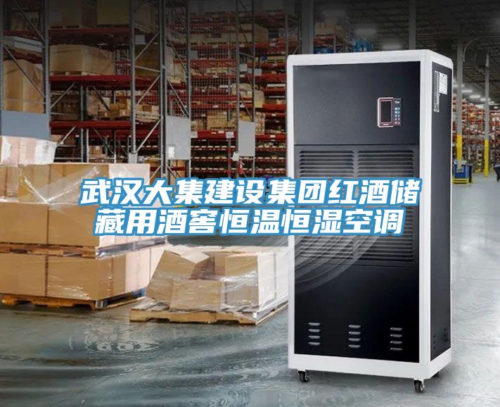武漢大集建設(shè)集團(tuán)紅酒儲(chǔ)藏用酒窖恒溫恒濕空調(diào)