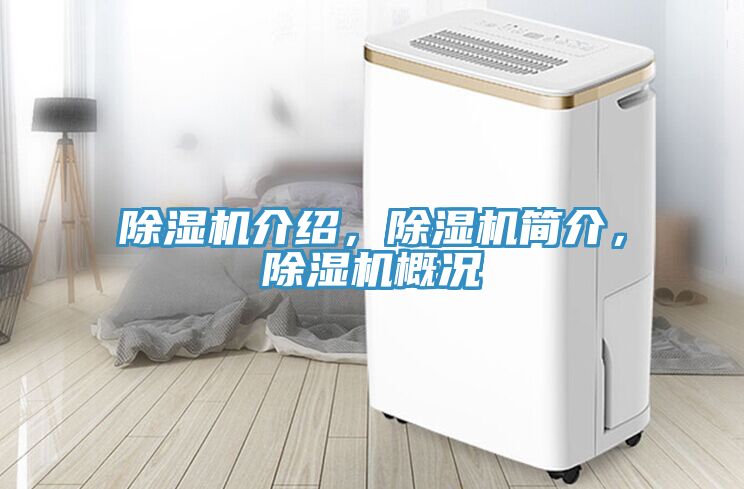 除濕機介紹，除濕機簡介，除濕機概況