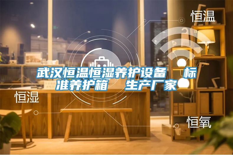 武漢恒溫恒濕養(yǎng)護設備  標準養(yǎng)護箱  生產廠家