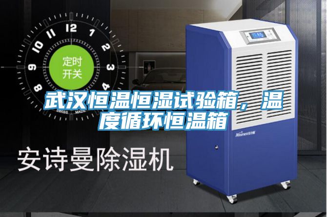武漢恒溫恒濕試驗(yàn)箱，溫度循環(huán)恒溫箱