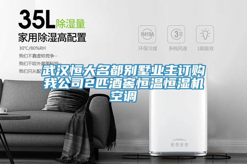 武漢恒大名都別墅業(yè)主訂購(gòu)我公司2匹酒窖恒溫恒濕機(jī)空調(diào)