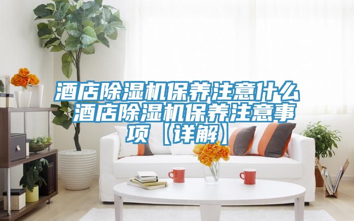 酒店除濕機(jī)保養(yǎng)注意什么 酒店除濕機(jī)保養(yǎng)注意事項【詳解】
