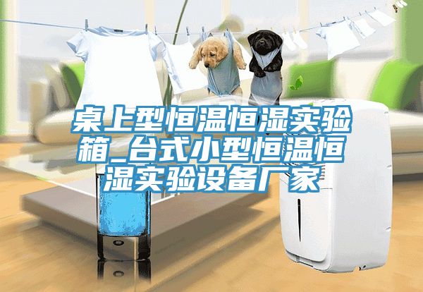 桌上型恒溫恒濕實(shí)驗(yàn)箱_臺式小型恒溫恒濕實(shí)驗(yàn)設(shè)備廠家