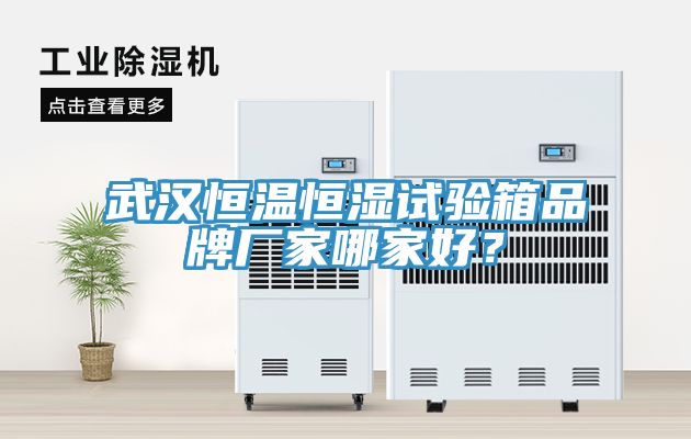 武漢恒溫恒濕試驗箱品牌廠家哪家好？