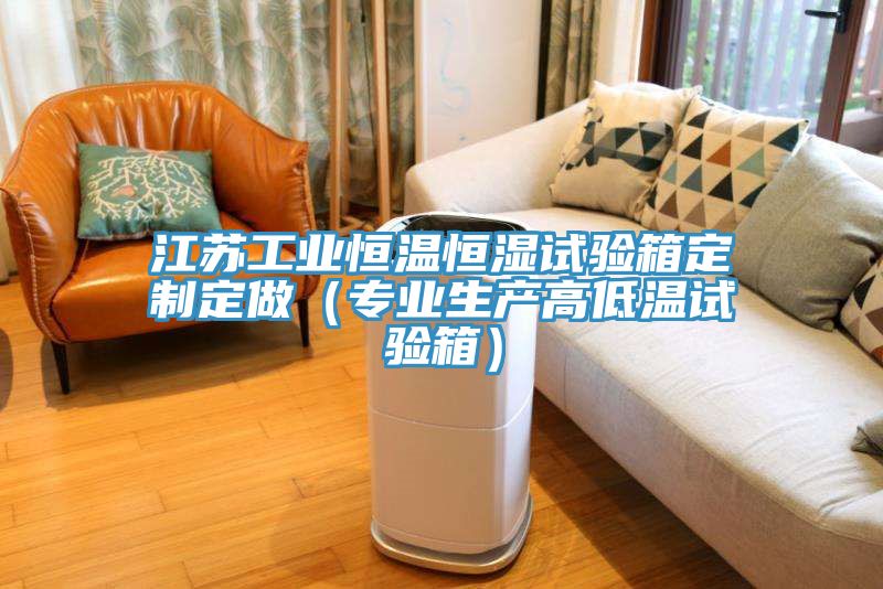 江蘇工業(yè)恒溫恒濕試驗(yàn)箱定制定做（專業(yè)生產(chǎn)高低溫試驗(yàn)箱）
