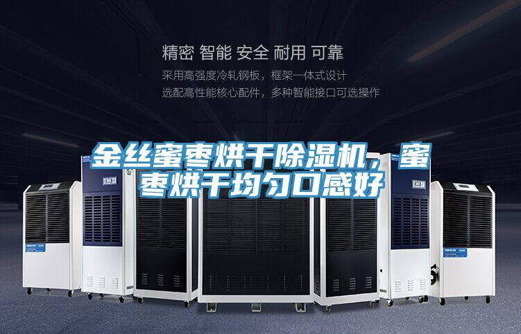 金絲蜜棗烘干除濕機，蜜棗烘干均勻口感好