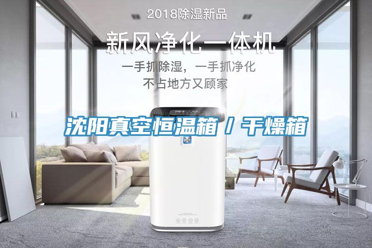 沈陽(yáng)真空恒溫箱／干燥箱