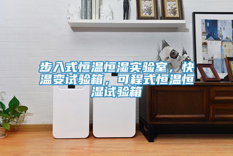 步入式恒溫恒濕實(shí)驗(yàn)室，快溫變試驗(yàn)箱，可程式恒溫恒濕試驗(yàn)箱