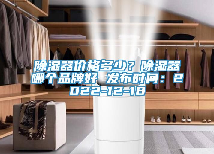 除濕器價格多少？除濕器哪個品牌好 發(fā)布時間：2022-12-18