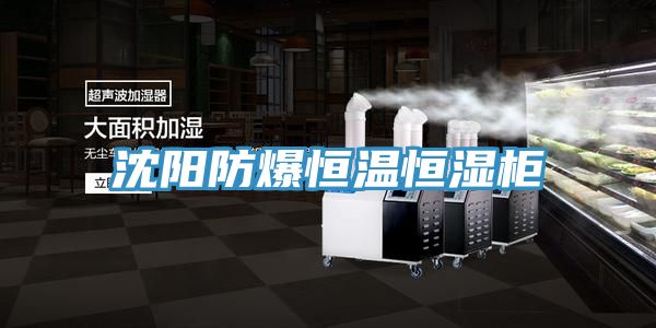 沈陽(yáng)防爆恒溫恒濕柜