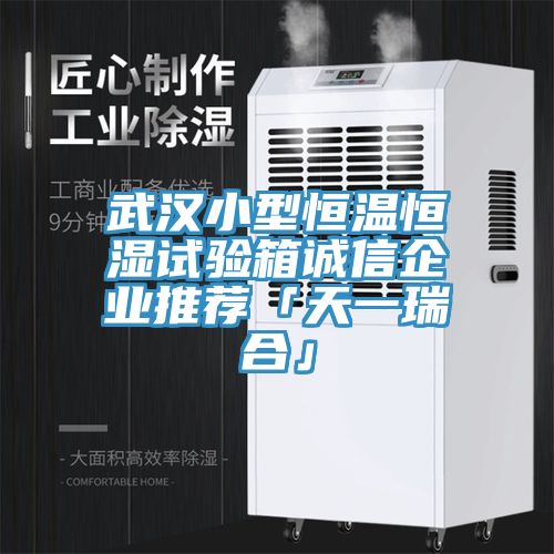 武漢小型恒溫恒濕試驗(yàn)箱誠(chéng)信企業(yè)推薦「天一瑞合」