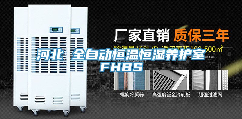 河北 全自動恒溫恒濕養(yǎng)護室FHBS