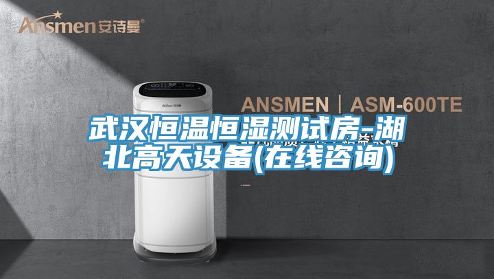 武漢恒溫恒濕測(cè)試房-湖北高天設(shè)備(在線(xiàn)咨詢(xún))