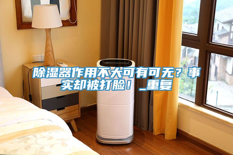 除濕器作用不大可有可無？事實卻被打臉！_重復(fù)