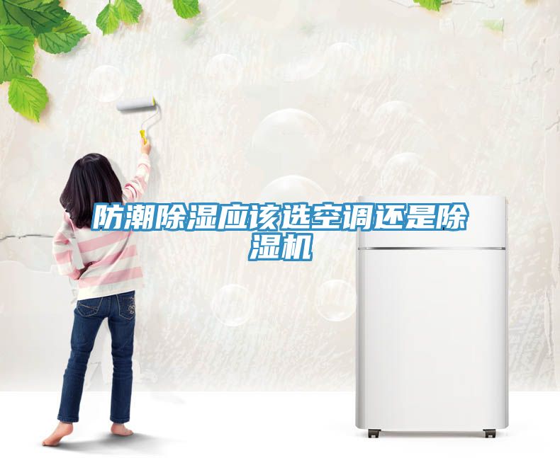 防潮除濕應(yīng)該選空調(diào)還是除濕機(jī)