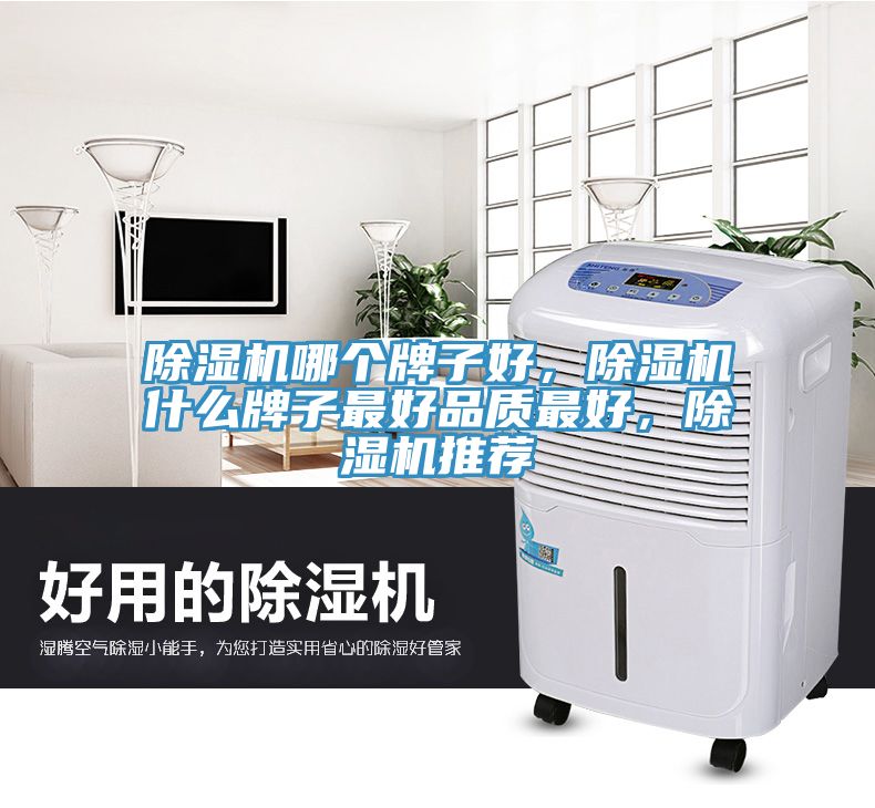 除濕機哪個牌子好，除濕機什么牌子最好品質最好，除濕機推薦
