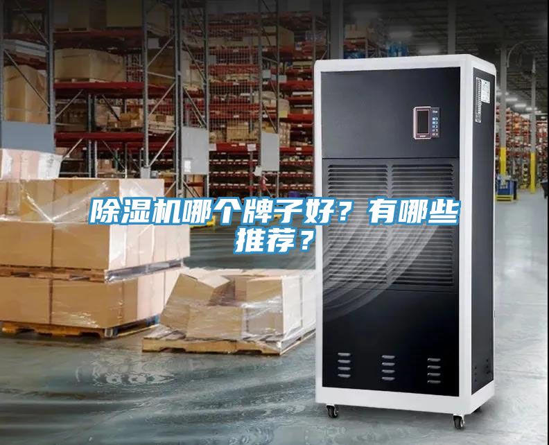 除濕機哪個牌子好？有哪些推薦？