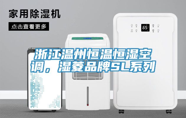 浙江溫州恒溫恒濕空調(diào)，濕菱品牌SL系列