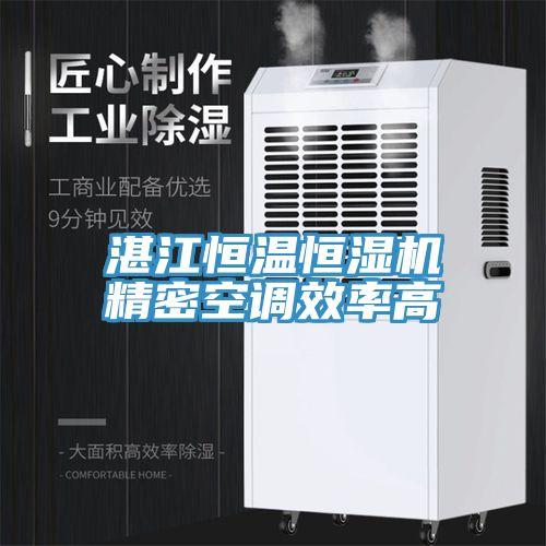 湛江恒溫恒濕機精密空調(diào)效率高