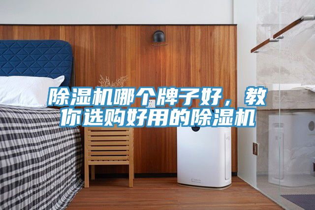 除濕機哪個牌子好，教你選購好用的除濕機