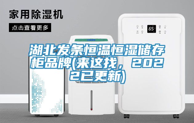 湖北發(fā)條恒溫恒濕儲存柜品牌(來這找，2022已更新)