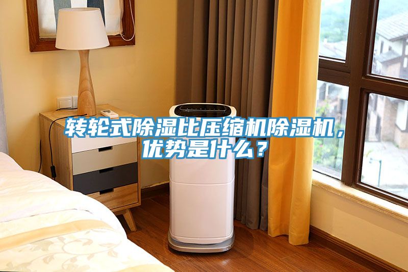 轉輪式除濕比壓縮機除濕機，優(yōu)勢是什么？