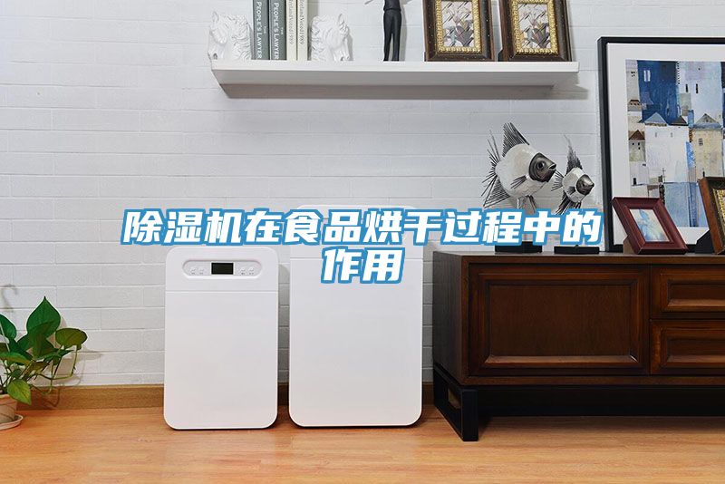 除濕機在食品烘干過程中的作用
