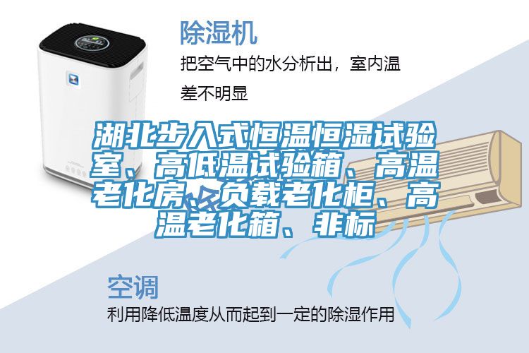 湖北步入式恒溫恒濕試驗(yàn)室、高低溫試驗(yàn)箱、高溫老化房、負(fù)載老化柜、高溫老化箱、非標(biāo)