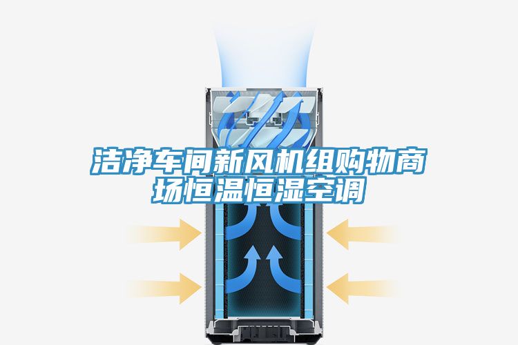 潔凈車間新風(fēng)機(jī)組購物商場恒溫恒濕空調(diào)