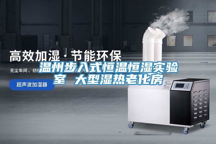 溫州步入式恒溫恒濕實(shí)驗(yàn)室 大型濕熱老化房