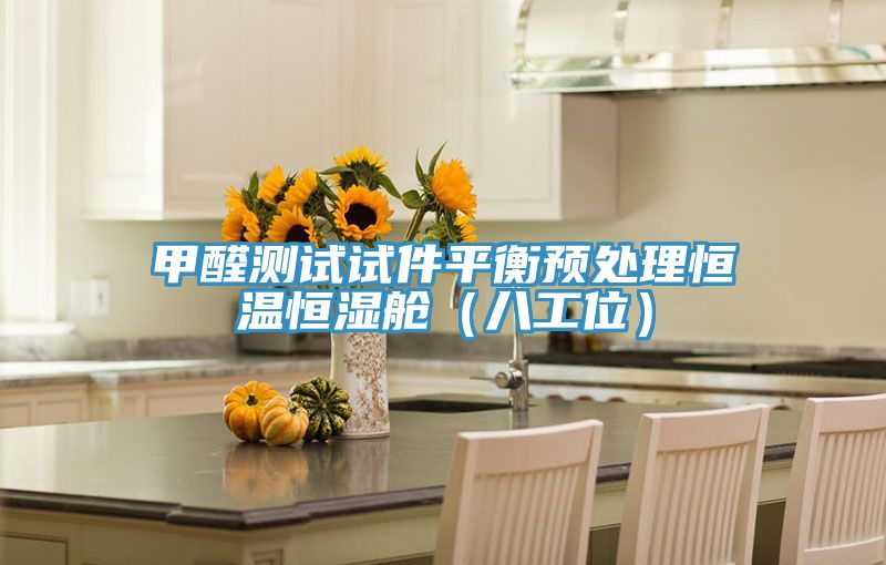 甲醛測試試件平衡預(yù)處理恒溫恒濕艙（八工位）