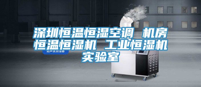 深圳恒溫恒濕空調(diào) 機(jī)房恒溫恒濕機(jī) 工業(yè)恒濕機(jī)實驗室