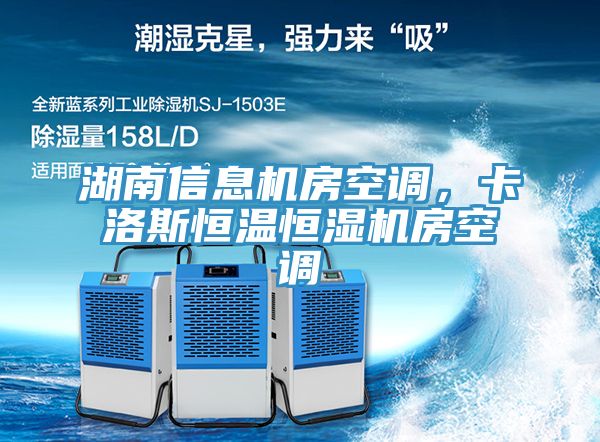 湖南信息機房空調(diào)，卡洛斯恒溫恒濕機房空調(diào)