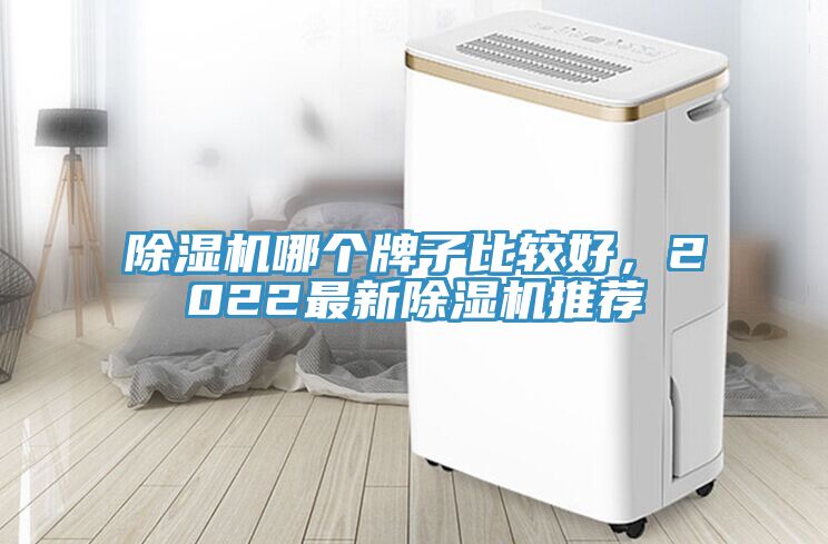 除濕機(jī)哪個(gè)牌子比較好，2022最新除濕機(jī)推薦