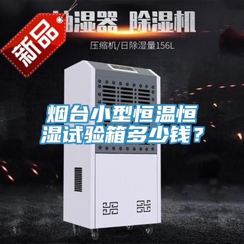 煙臺小型恒溫恒濕試驗箱多少錢？