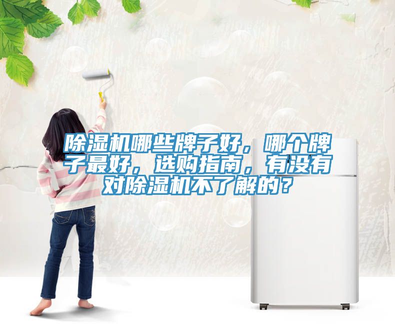 除濕機(jī)哪些牌子好，哪個(gè)牌子最好，選購指南，有沒有對(duì)除濕機(jī)不了解的？