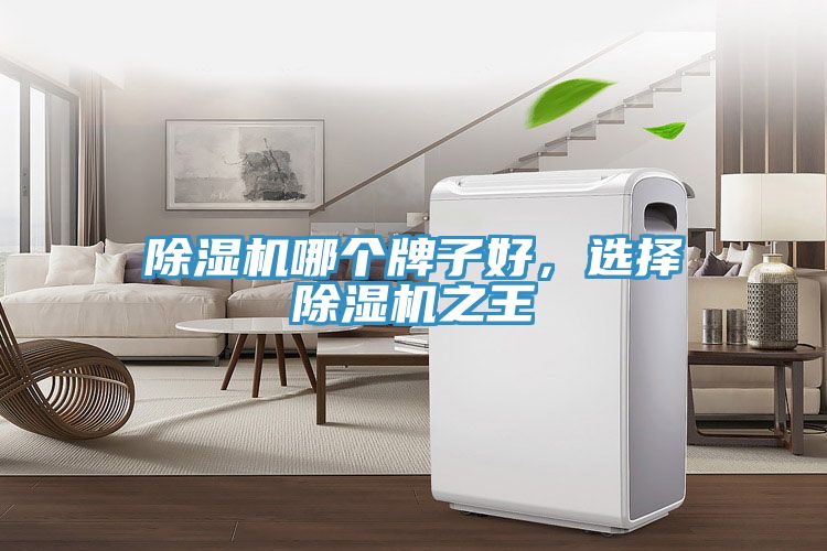 除濕機哪個牌子好，選擇除濕機之王