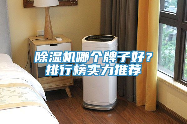 除濕機哪個牌子好？排行榜實力推薦