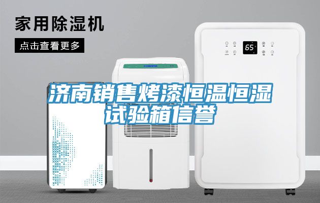 濟(jì)南銷(xiāo)售烤漆恒溫恒濕試驗(yàn)箱信譽(yù)