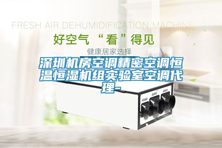 深圳機(jī)房空調(diào)精密空調(diào)恒溫恒濕機(jī)組實驗室空調(diào)代理-