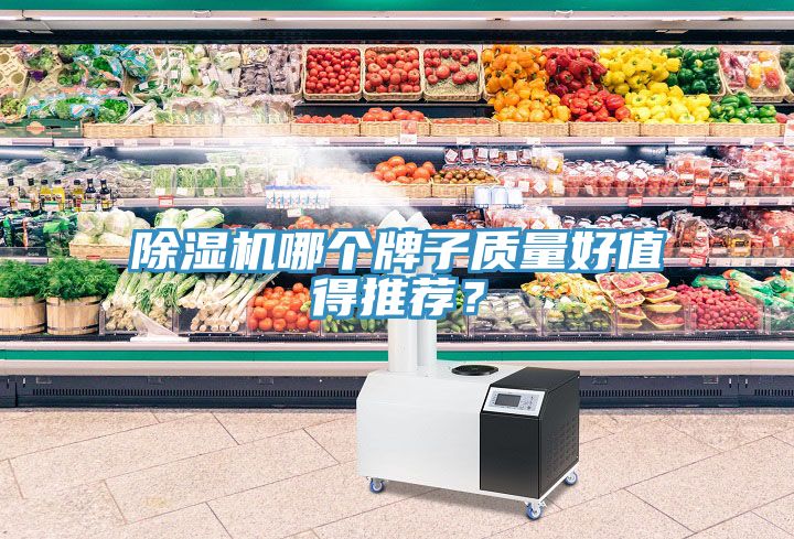 除濕機(jī)哪個(gè)牌子質(zhì)量好值得推薦？
