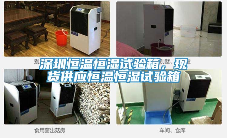 深圳恒溫恒濕試驗箱，現(xiàn)貨供應(yīng)恒溫恒濕試驗箱