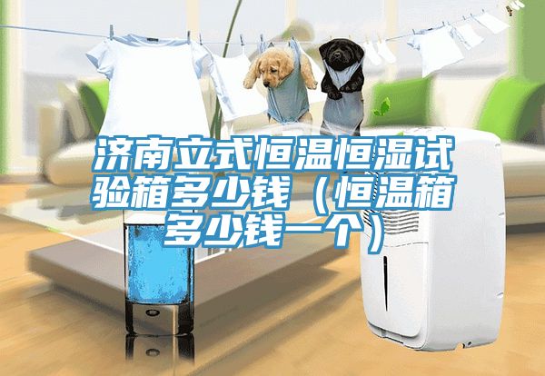 濟(jì)南立式恒溫恒濕試驗(yàn)箱多少錢(qián)（恒溫箱多少錢(qián)一個(gè)）