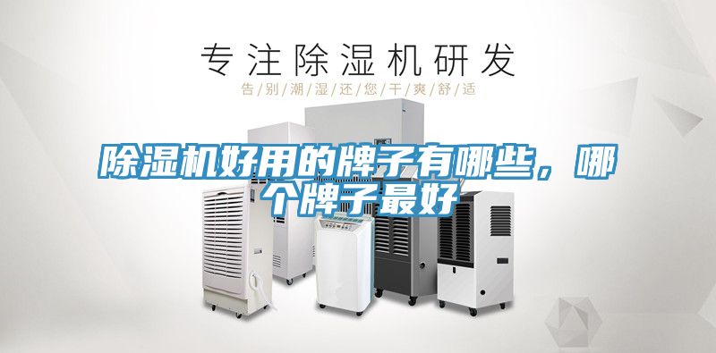 除濕機好用的牌子有哪些，哪個牌子最好